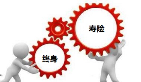 财富传家终身寿险多少钱?给你几个购买理由