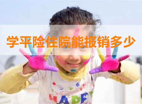 学平险多少钱?学平险住院能报销多少?