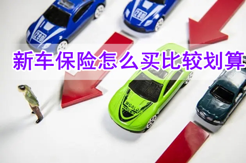 新车保险怎么买比较划算?新车保险第一年一般多少钱?