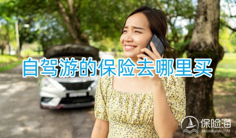 自驾游的保险去哪里买?自驾游的保险最多赔多少?